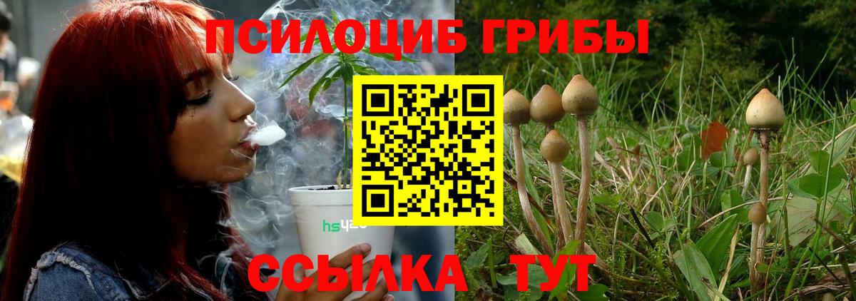 Псилоцибиновые грибы GOLDEN TEACHER Туймазы